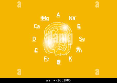 Stylized clockface with essential vitamins and microelements for human health, hand drawn Intestine, yellow background. Stock Photo