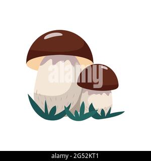 Boletus mushroom in flat style, vector illustration, isolate Stock Vector