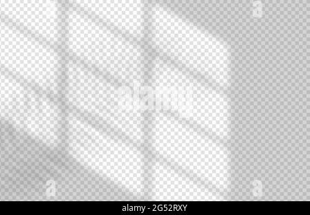 Window and Leaf Realistic Shadow Mock Up Template. Tropical leaf and light from window overlay mockup for social media, banners and advertising. Stock Vector