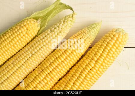 Four cobs of sweet organic corn, close-up, on a white wooden table, top view. Stock Photo