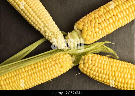 Four cobs of sweet organic corn on a slate board, close-up, top view. Stock Photo