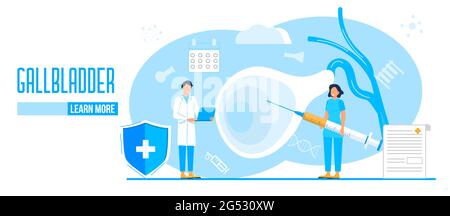 Gallbladder concept vector. Doctors treat gallstones. Biliary dyskinesia ptoblems. Web, landing page template for medical website, banner. Medical sup Stock Vector