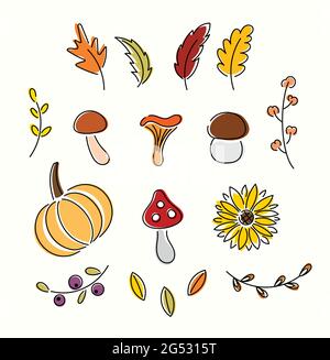 Bright line art set of autumn vegetables and leaves. Thanksgiving collection Stock Vector