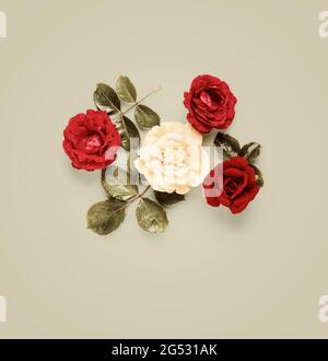 Rose flowers creative composition and layout on bright background. Red and white roses with leaves arrangement and floral design. Summer garden concep Stock Photo