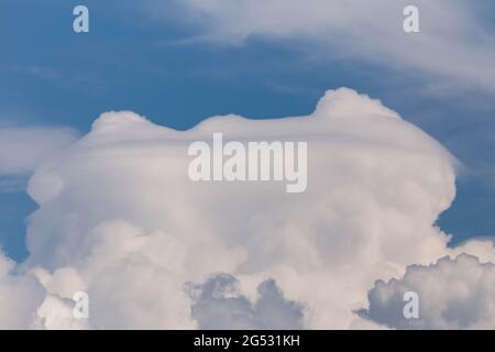 Pileus cap on top of cumulus clouds, white cumulus clouds Stock Photo