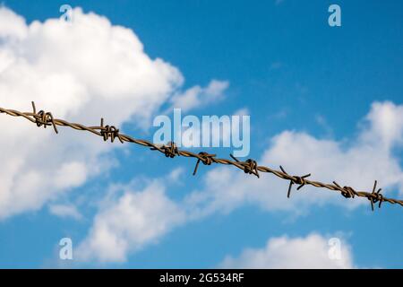 Barbed wire on the blue sky background Stock Photo