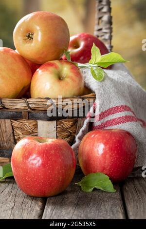 Outdoor closeup of red apples on a rustic wooden table and in a basket Stock Photo