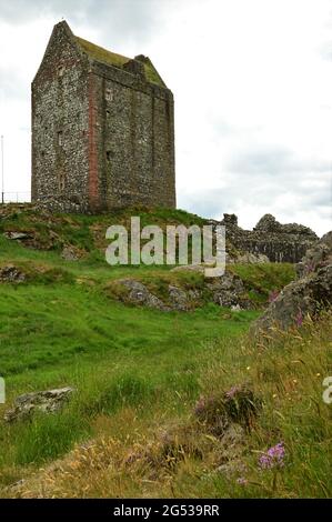 An exterior view of the ruins of a medieval tower house at Smailholm in the Scottish Borders. Stock Photo