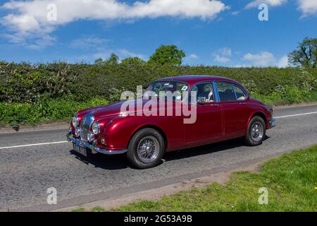 1968 60s maroon Daimler 2548 cc petrol luxury 4dr saloon 2.4-litre DOHC in-line six en-route to Capesthorne Hall classic May car show, Cheshire, UK Stock Photo