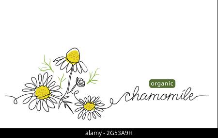 Chamomile, meadow daisy, camomile flowers vector illustration. Background for label design. One continuous line art drawing illustration with Stock Vector