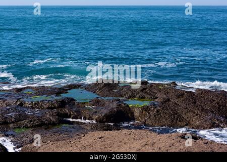 Puddle of water and moss in small rock ponds left over from waves. Black sea shore in Rumelifeneri, Sariyer - Istanbul. Stock Photo
