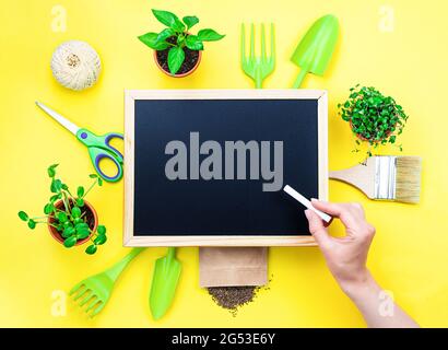 Items for the garden and orchard are laid out against a bright yellow background. In the middle of the design, there is a large black board for a sale Stock Photo