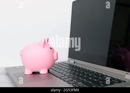 Piggy Bank Looking at Laptop Screen Stock Photo