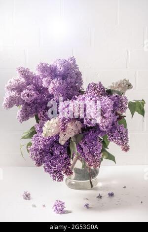 A bouquet of lilac on a light background. Shabby chic style. Soft focus. Stock Photo