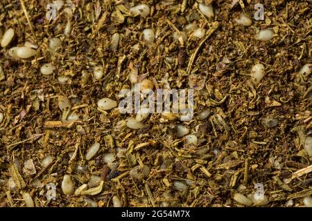 Raw Organic Zaatar Spices in a Bowl Stock Photo