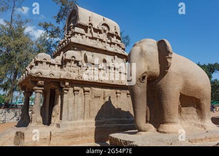 Nakula Sahadeva ratha and an elephant statue, one of the Pancha Rathas (Five Rathas) of Mamallapuram, an Unesco World Heritage Site in Tamil Nadu, Sou Stock Photo