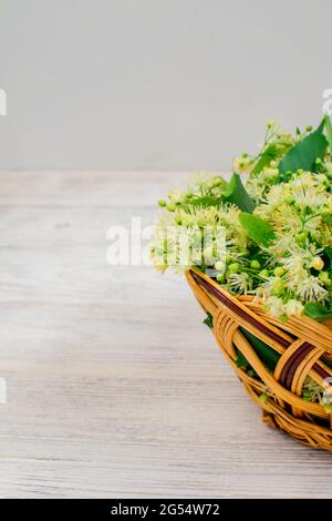 Wicker basket with linden flowers on a wooden background. Linden flowers. Stock Photo