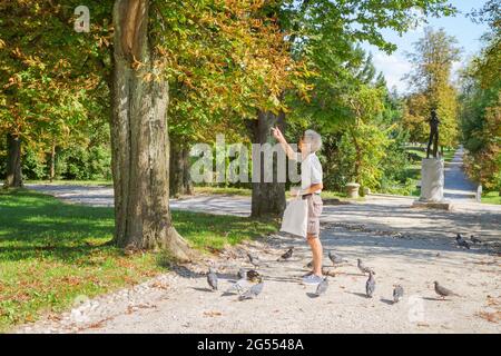 Ljubljana, Slovenia - August 16, 2018: A man tries to feed some birds on his hand in a tree of Tivoli City Park while others are on the ground Stock Photo