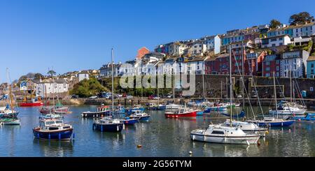 Colourful houses overlooking Brixham inner harbour in south Devon. Stock Photo