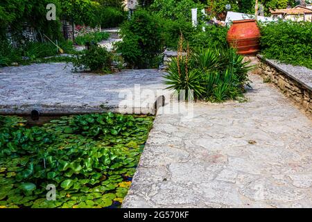 A cat drinks in the garden. The cat drinks from the pool. Stock Photo