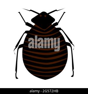 Flea isolated on white background. Cartoon insect pest. Black common flea icon. Bedbug. Household pests. Simple flat design. Stock vector illustration Stock Vector