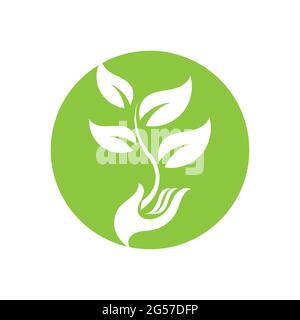hand and leaf logo vector illustration design template Stock Vector