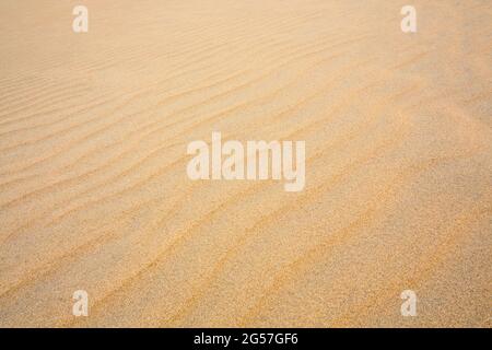 Sand ripples texture background Stock Photo