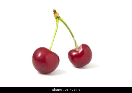 Two isolated red cherries on a white background Stock Photo
