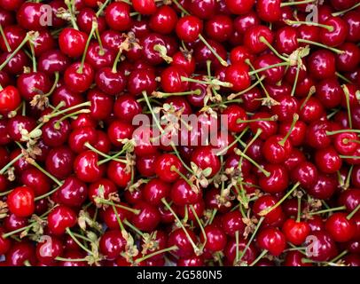 Background of evenly spread cherries. Top view on fresh red berries Stock Photo