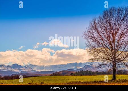 Snow covered Drakensberg mountains in underberg south Africa Stock Photo