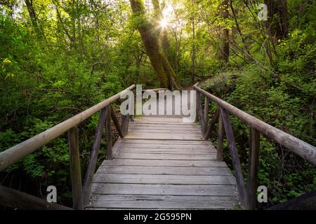 Shoreline Trail, Port Moody, Greater Vancouver, British Columbia, Canada Stock Photo