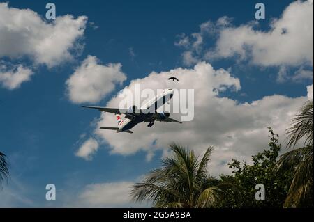 23.06.2021, Singapore, Republic of Singapore, Asia - A British Airways Boeing 777-300 ER passenger plane approaches Changi Airport for landing. Stock Photo