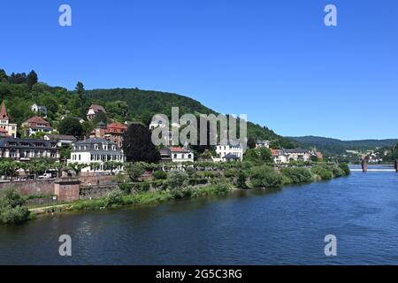 Exclusive residential buildings on the banks of the Neckar river in Heidelberg Stock Photo