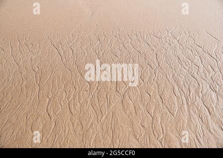 Wet sand texture with traces of water trickle Stock Photo