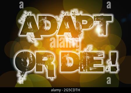 Time to adapt word, concept of adaptation to rules Stock Photo - Alamy