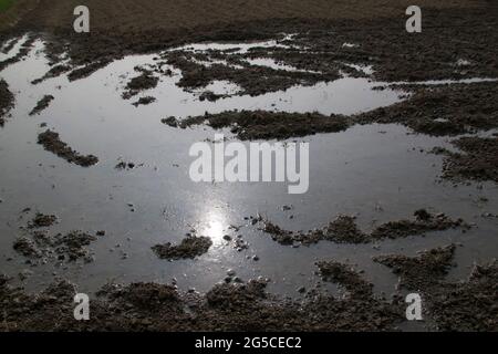 Soil is a soft, granular covering of the earth's surface Stock Photo