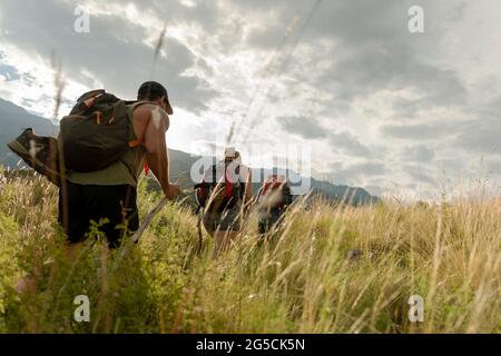 Group of hikers hiking through the countryside in summer with tall grass on cloudy day Stock Photo