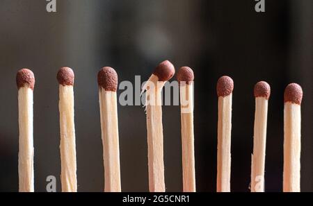 a single unique wooden match among the other regular ones, the teamwork idea Stock Photo