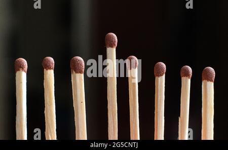 a single unique wooden match among the other regular ones, the teamwork idea Stock Photo
