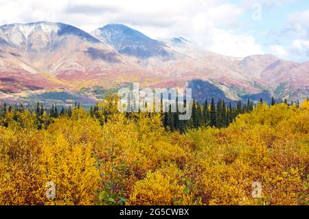Alaska fall colors Stock Photo