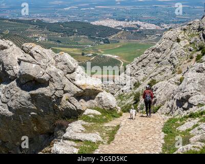 A hiker with her dog walking along a mountain road to a village. Concept of healthy outdoor life. Stock Photo