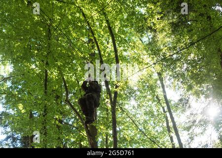a man in military outfit zip lining inside of a forest Stock Photo