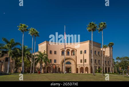 Sabal palms, Library at Brownsville Campus of University of Texas Rio Grande Valley, in Brownsville, Texas, USA Stock Photo