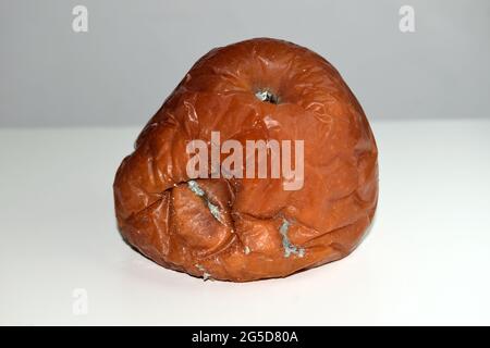 fully rotten single apple with affected by some fungus Stock Photo