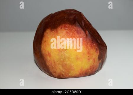 fully rotten single apple Stock Photo