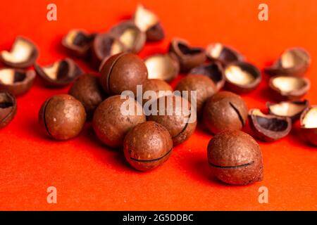 macadamia nut close-up on a red background. Stock Photo