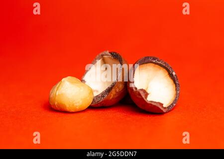 shell and kernel of macadamia nut close-up background. Stock Photo
