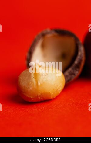 shell and kernel of macadamia nut close-up background. Stock Photo