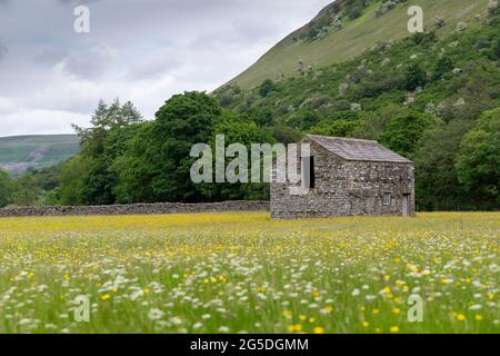 Old traditional stone barn in the middle of a wildflower meadow, Muker, Swaledale, North Yorkshire, UK. Stock Photo