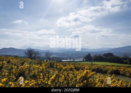 Scenic view from the summit of Bray Head, County Wicklow, Ireland. Summer coastal landscape. Stock Photo